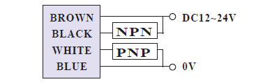 np output wiring